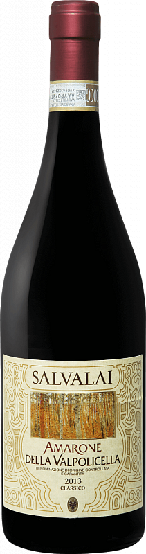 Вино Salvalai Amarone della Valpolicella Classico DOC