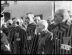 Konzentrationslager Sachsenhausen – Labour befreit