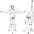 Die wichtigsten Übungen zur Stärkung des Bewegungsapparates und zur Abhärtung des Körpers