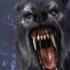 Lykanthropie – Anzeichen von Werwölfen Wenn eine Person erkennt, dass sie ein Werwolf ist